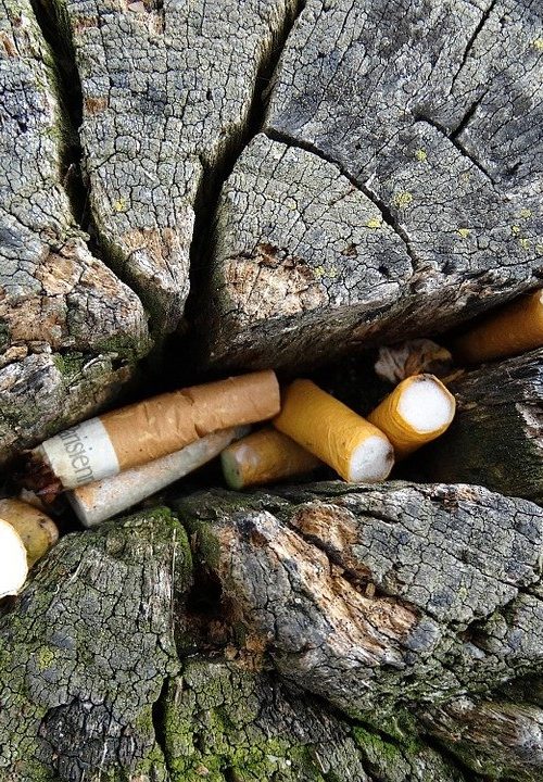 Mégots dans la nature