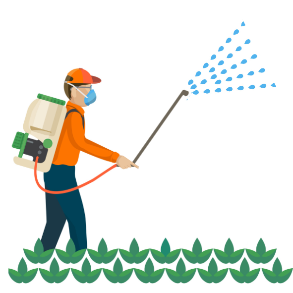 Ces pesticides et engrais chimiques ont des effets néfastes sur la biodiversité et sur les nappes phréatiques.
