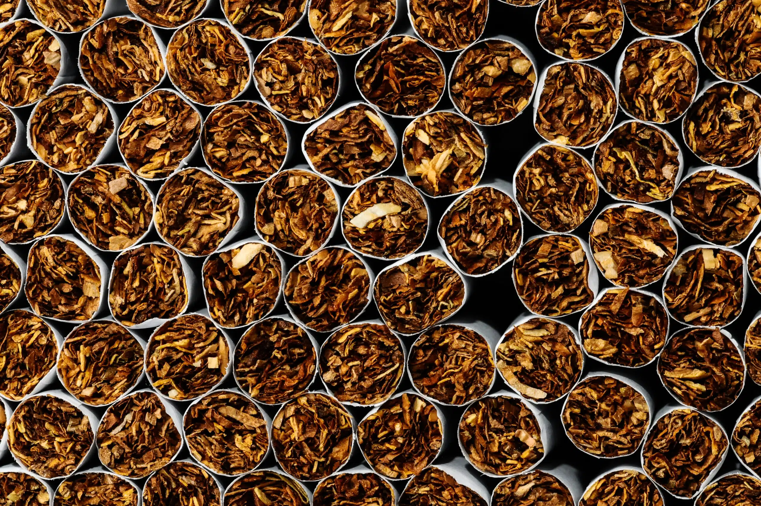 La culture du tabac : un désastre écologique