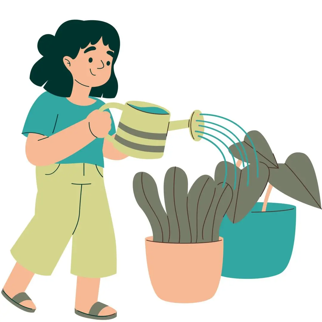 Une femme qui arrose des plantes