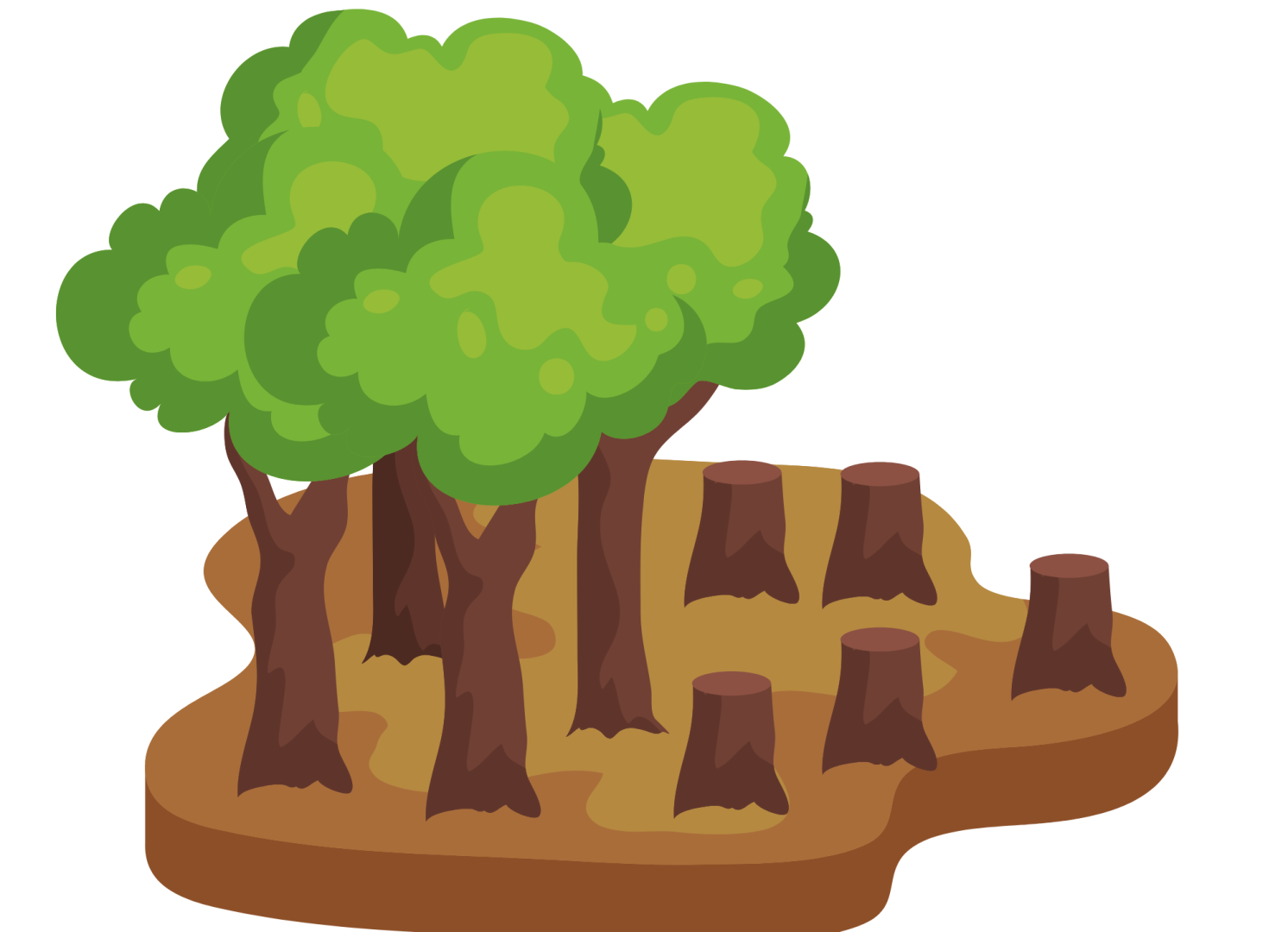 Déforestation des arbres