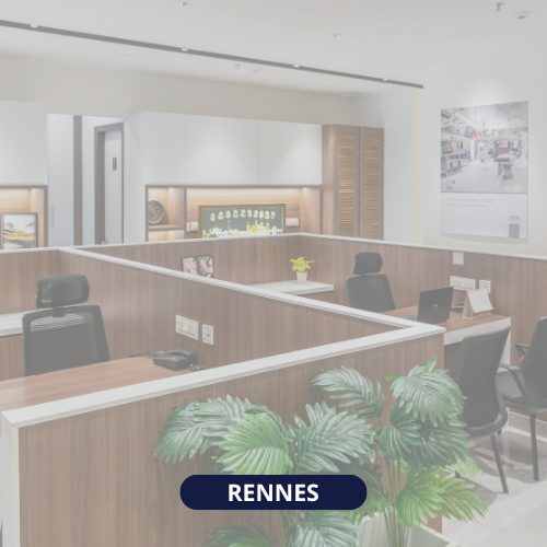 Image d'un open space avec plusieurs bureaux et plantes vertes (1)